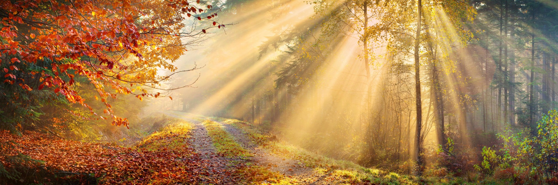 iStock_40226418_2.jpg