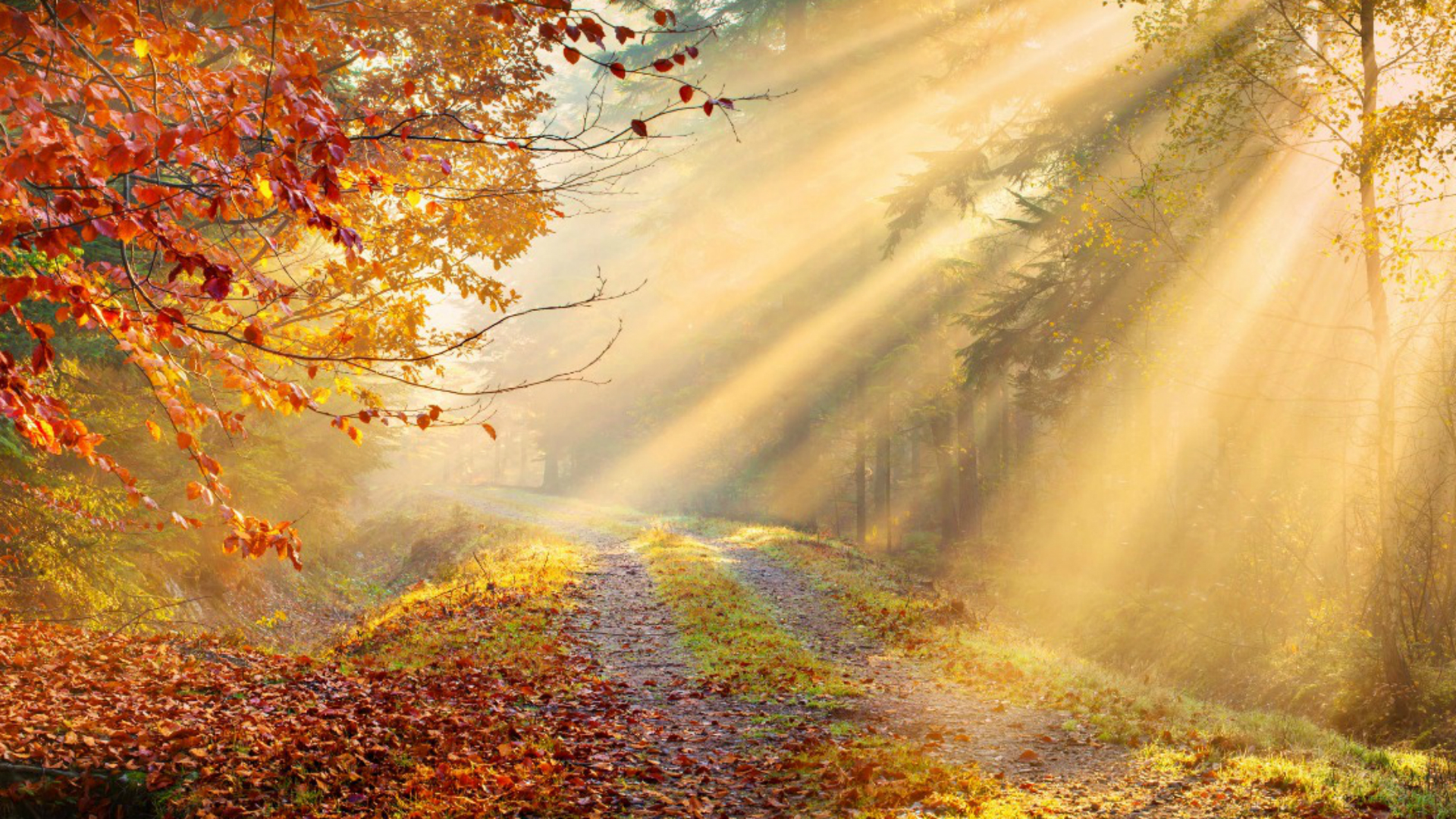 istock_40226418_4.jpg