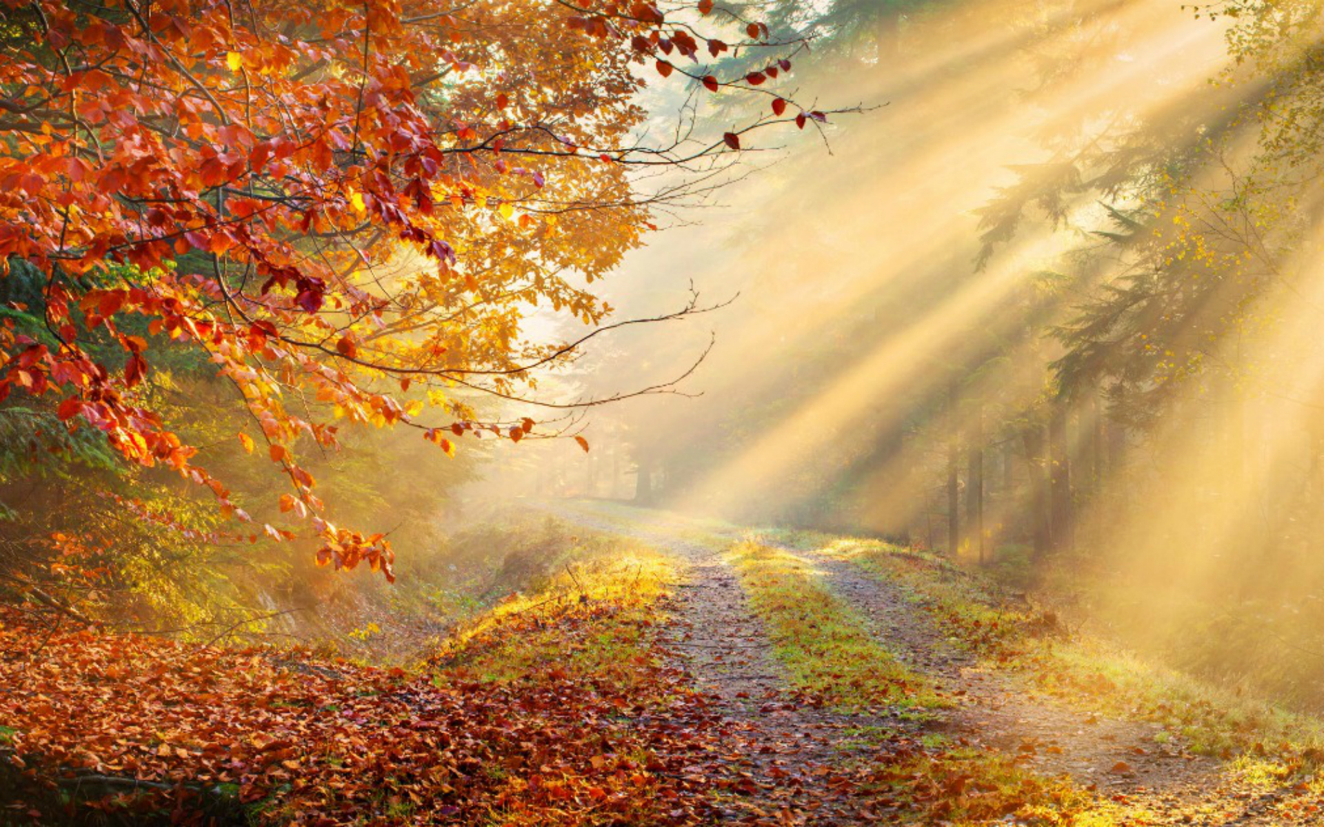 istock_40226418_5.jpg
