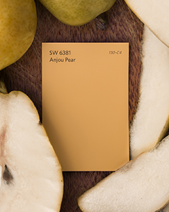 SW 6381 Anjou Pear