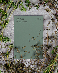 SW 6186 Dried Thyme