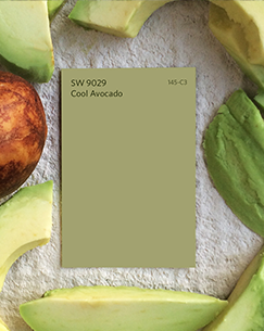 SW 9029 Cool Avocado