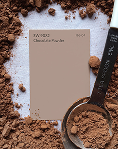 SW 9082 Chocolate Powder