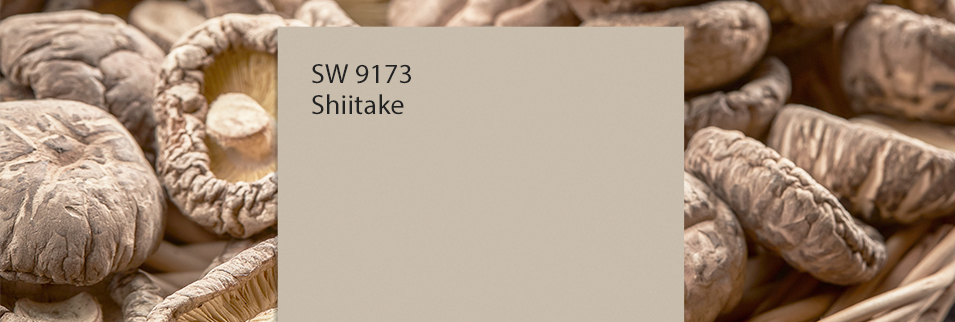 Color of the Month: Shiitake SW 9173 | Sherwin-Williams PaintPerks
