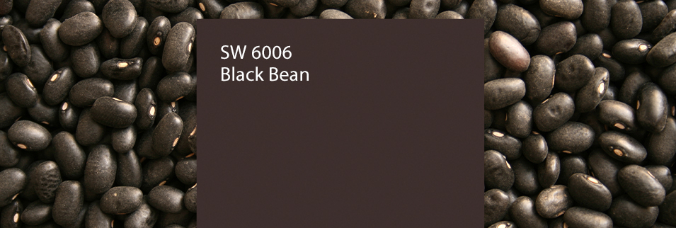 Color of the Month: Black Bean SW 6006 | Sherwin-Williams PaintPerks