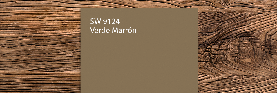 Color of the Month: Verde Marrón SW 9124 | Sherwin-Williams PaintPerks